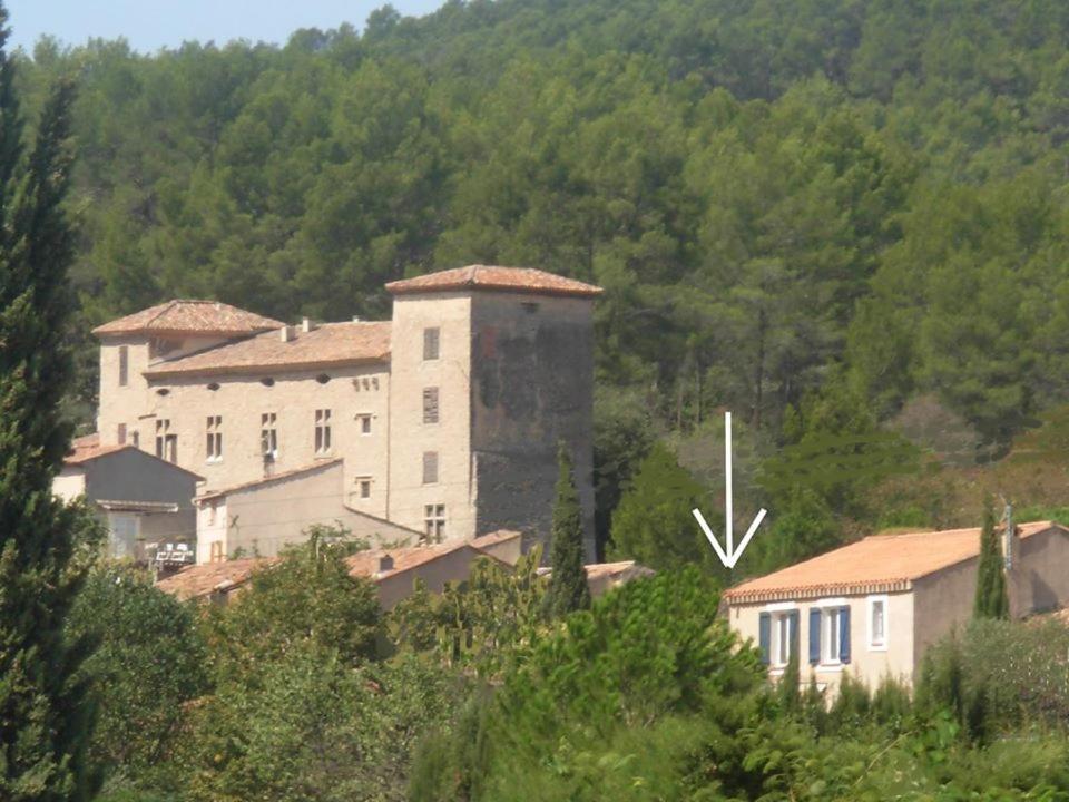 Apartment Le Des Templiers A *